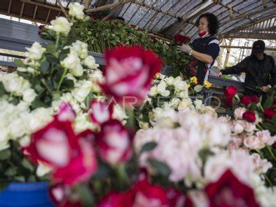 Permintaan Bunga Potong Turun Antara Foto