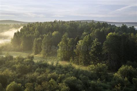 Beautiful Misty Dawn In The Nature Park Stock Image Image Of River