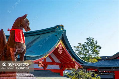 Kyoto, Japan, The sacred statue of a wolf in front of the main shrine ...