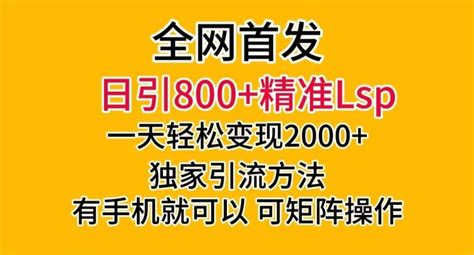 全网首发！日引800精准老色批，一天变现2000，独家引流方法，可矩阵操作【揭秘】80楼网创 Gogo网赚联盟项目资源网副业资源