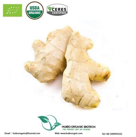 Buy Organic Dried Ginger Powder Best Market Price Bulk Ginger Powder From Shanghai Huibo