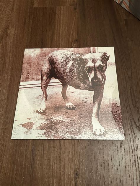 Alice In Chains 3 Legged Dog Official Debut Vinyl Record Lp Etsy