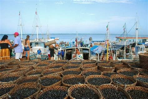 Feira do açaí no Ver o Peso Belém do Pará Belém do pará Ver o