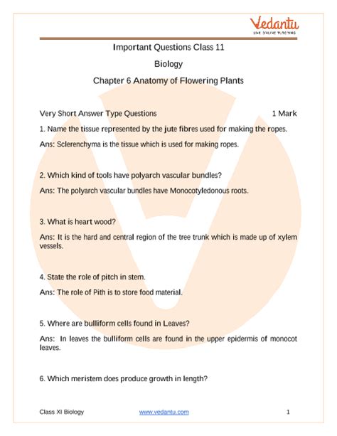 Important Questions For Cbse Class 11 Biology Chapter 6 Anatomy Of