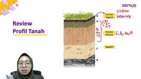 Gambar Profil Tanah 48 Koleksi Gambar