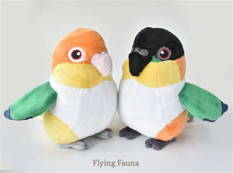 Caique Plush White Bellied Caique Black Headed Caique Bird - Etsy