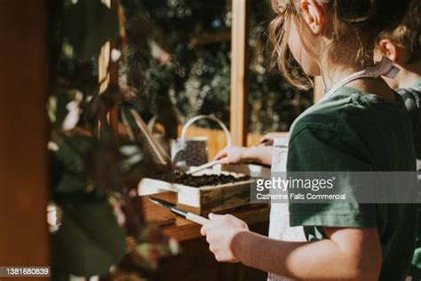 Child Sowing Seeds Photos And Premium High Res Pictures Getty Images