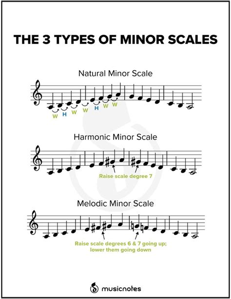 List Of How Many Types Of Musical Scales Are There In Graphic Design ...