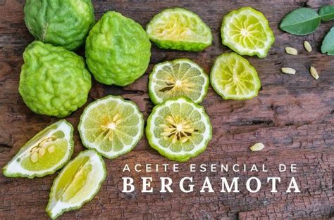 Qu Es El Aceite De Bergamota Descubre Sus Usos Y Beneficios