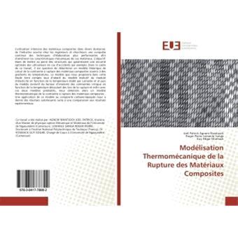 Modelisation Thermomecanique De La Rupture Des Materiaux Composites