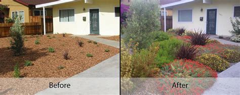 Blog Natural Front Yards Sustainable Landscaping