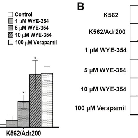 Effect Of Wye 354 On R6g Efflux In Adr Resistant Cells A R6g Download Scientific Diagram