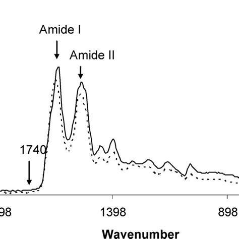 Typical Ftir Spectra Of Protein Before A And After B Subtraction Of