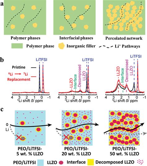 A Schematic Of Li Ion Transport Pathways In CPEs B Comparison Of The