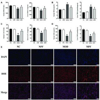 Effects Of Paeoniflorin Pf On Oxidative Stress Indicators In The