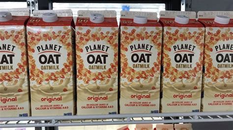 11 Popular Oat Milk Brands Ranked Worst To Best