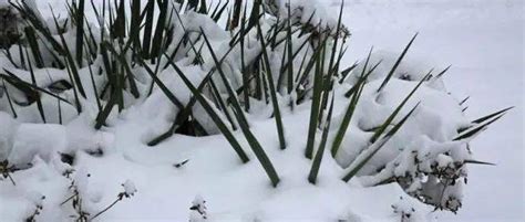 暴雪！ 5℃！怀化地区雨雪