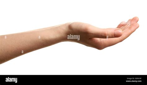open palm hand gesture  white background stock photo alamy