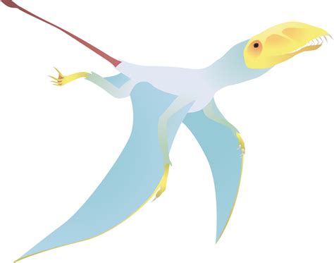 Dimorphodon by DasRuedi on DeviantArt