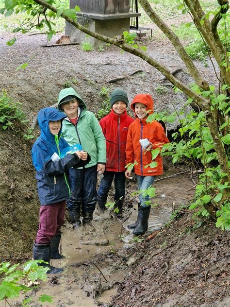 Waldabenteuer Der 3 Klassen Spiel Spass Und Lernen In Der Natur