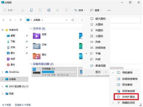 Win11如何修改文件后缀名？win11修改文件后缀名的方法 哔哩哔哩