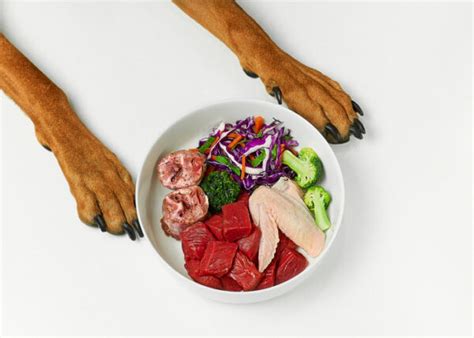 Homemade Puppy Food Recipes: Vet-Approved – Top Dog Tips