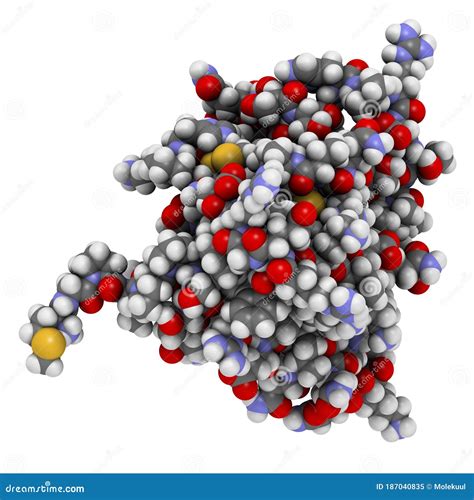 Interleukin 13 (IL-13) Cytokine Protein. 3D Illustration Stock ...