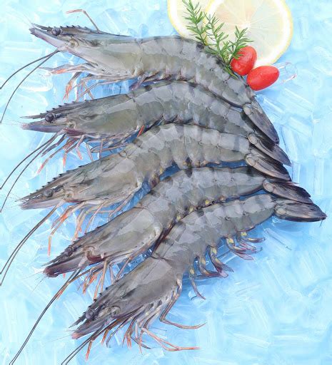 Raw Black Tiger Shrimp Products Binh Phu Seafood Company