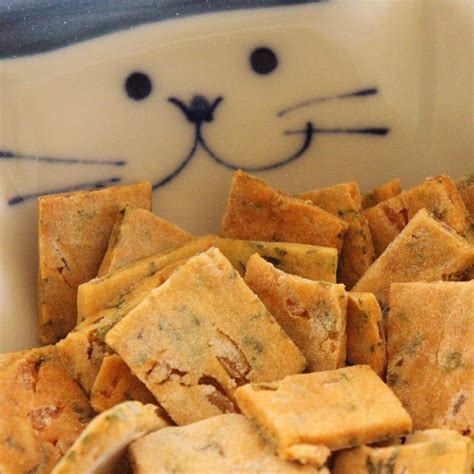 12 Homemade Cat Treats And Toys Your Kitten Will Love Brit Co