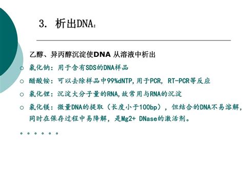 Ppt 实验十一 细菌总 Dna 的提取 Powerpoint Presentation Free Download Id 5190356