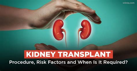 What Is a Kidney Transplant?