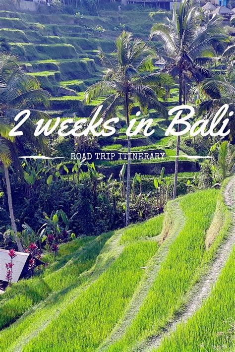 The Rice Terraces In Bali With Text Overlay Reading 2 Weeks In Bali