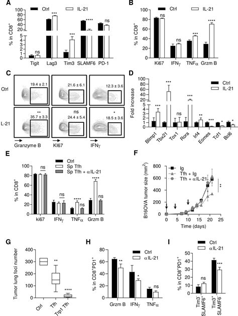 Follicular Helper T Cells Restore Cd8 Dependent Antitumor Immunity And