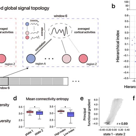 Histaminergic System And Hierarchical Organization Across The Neocortex