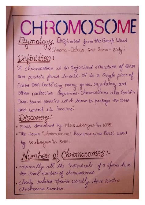 Solution Complete Handwritten Notes Of Chromosomes Cell And Molecular