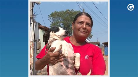 A Gazeta Cadela vítima de maus tratos morre dois dias após adoção em