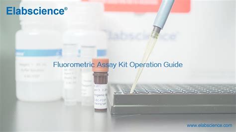 Fluorometric Assay Kit Experimental Operation Guide Youtube