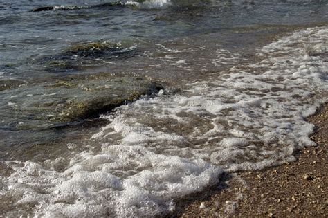 Qu Playas Visitar Y Cu Les Evitar Altos Niveles De Bacterias