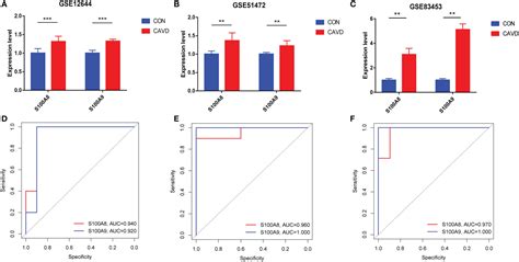 Frontiers Identifying Hub Genes Of Calcific Aortic Valve Disease And