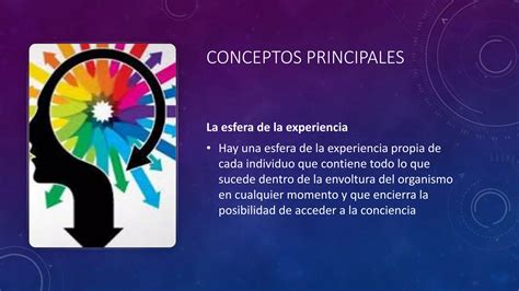 6 2 Terapia Centrada En La Persona Carl Rogers PPT