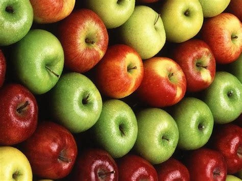 varieties  apples grown  moldova    world