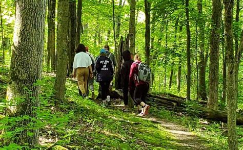 Dr. Edmund A. Babler Memorial State Park | Missouri State Parks