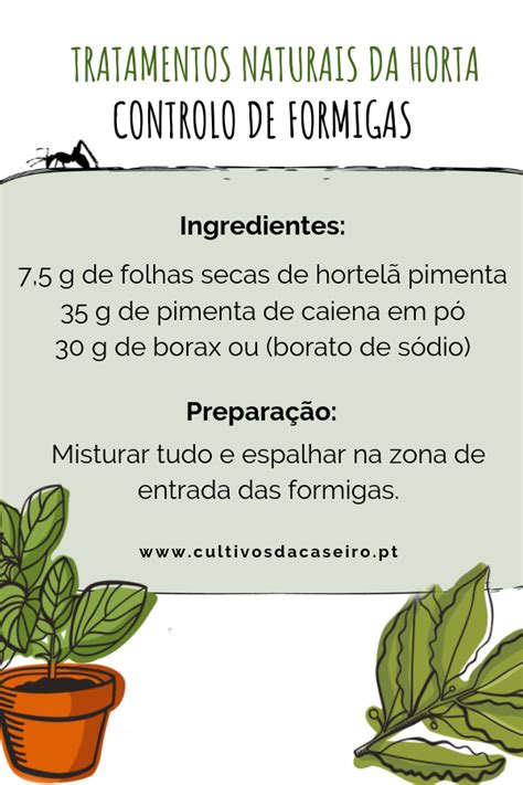 Pin Em Receitas Naturais Da Horta