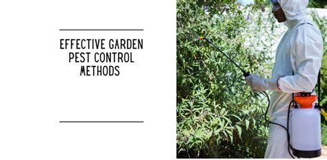 Effective Garden Pest Control Methods - Ko-fi ️ Where creators get ...