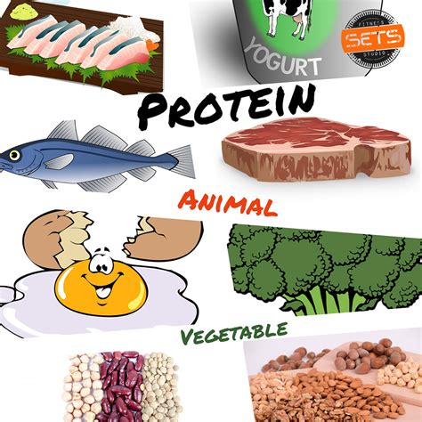 As Melhores Fontes De Proteína Sets