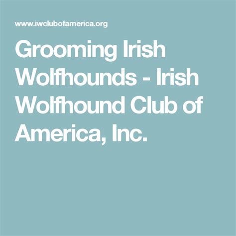 Grooming Irish Wolfhounds - Irish Wolfhound Club of America, Inc ...