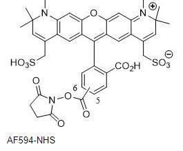 Af Nhsalexa Fluor Nhs Esteraf Nhs