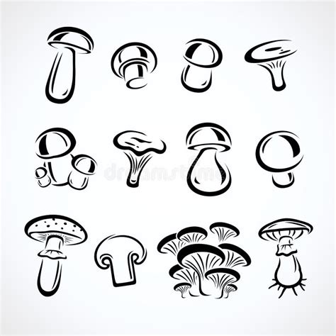 Ensemble De Champignon Vecteur Illustration De Vecteur Illustration