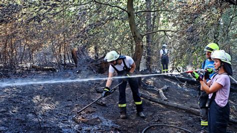 Marburger Land Debatte um Löschwasserversorgung bei Waldbränden