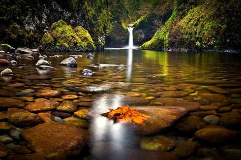 Autumn Waterfall HD Forest Trees Waterfall Lake Rocks Leaves